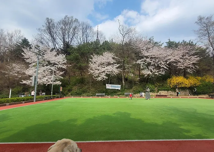 Apartment Newly Renovated Center Of #10